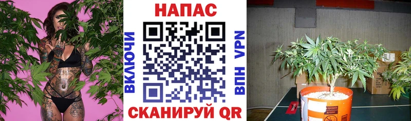 Наркошоп Гусев СК  ОМГ ОМГ маркетплейс  Гашиш  АМФ  Бошки Шишки  Мефедрон 