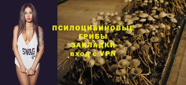бошки Беломорск