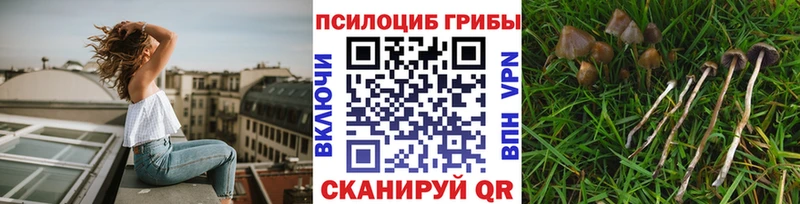 Галлюциногенные грибы ЛСД  даркнет как зайти  Гусев 